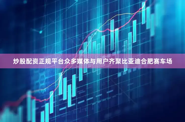 炒股配资正规平台众多媒体与用户齐聚比亚迪合肥赛车场