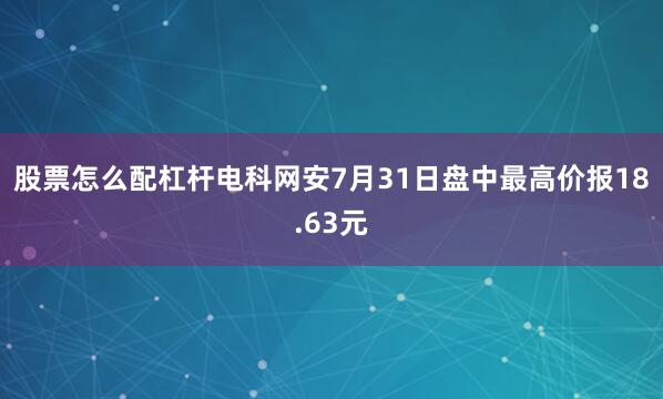 股票怎么配杠杆电科网安7月31日盘中最高价报18.63元
