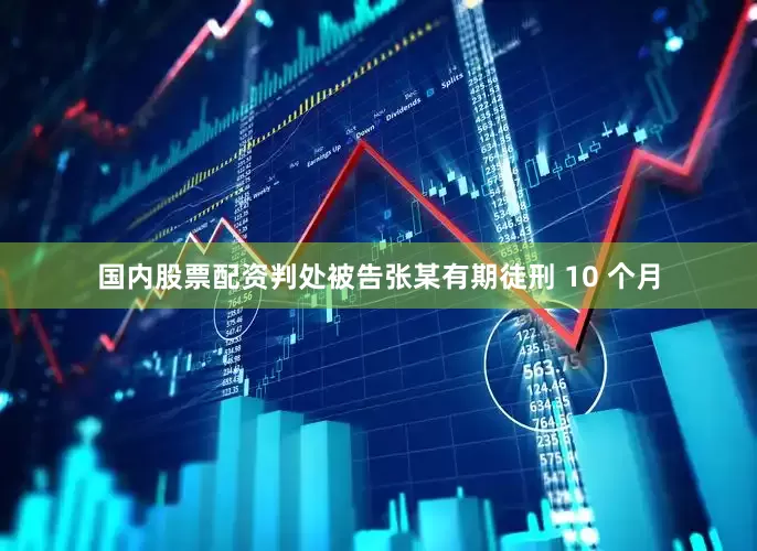 国内股票配资判处被告张某有期徒刑 10 个月