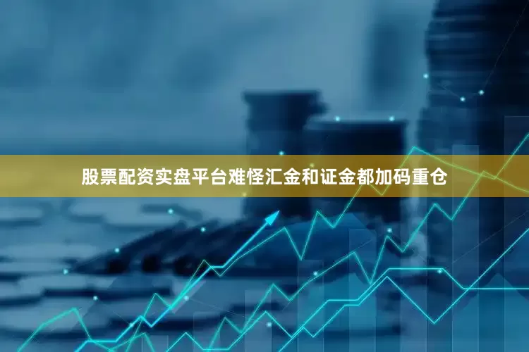 股票配资实盘平台难怪汇金和证金都加码重仓